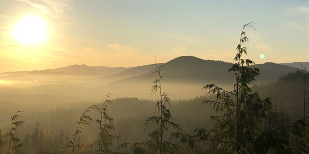 VIRTT Blog Long Weekends on Vancouver Island