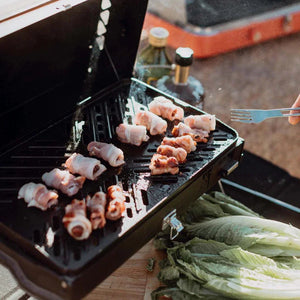 Primus Kuchoma Portable Gas Camp Grill